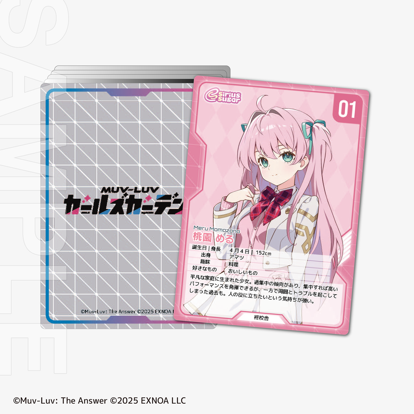 【C107】『マブラヴ ガールズガーデン』生徒会長カレー